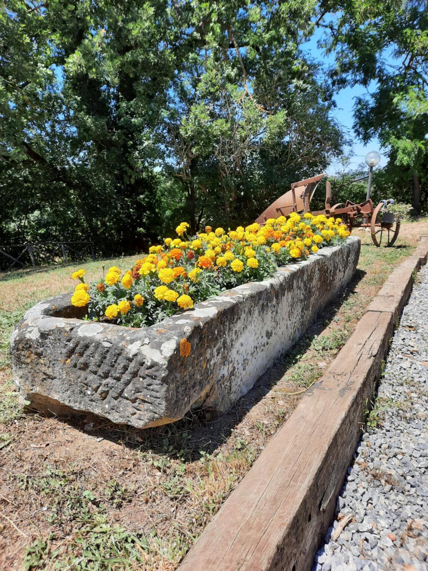 Agriturismo Podere Valdilucciole Città della Pieve Eksteriør bilde